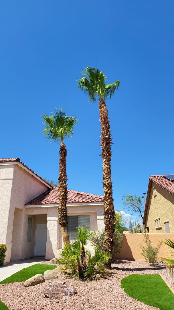 Photo - One Story Home