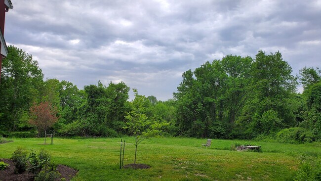 Photo - 542 Browns Rd