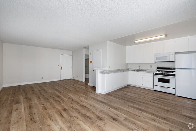 Studio - 525SF - Living Room