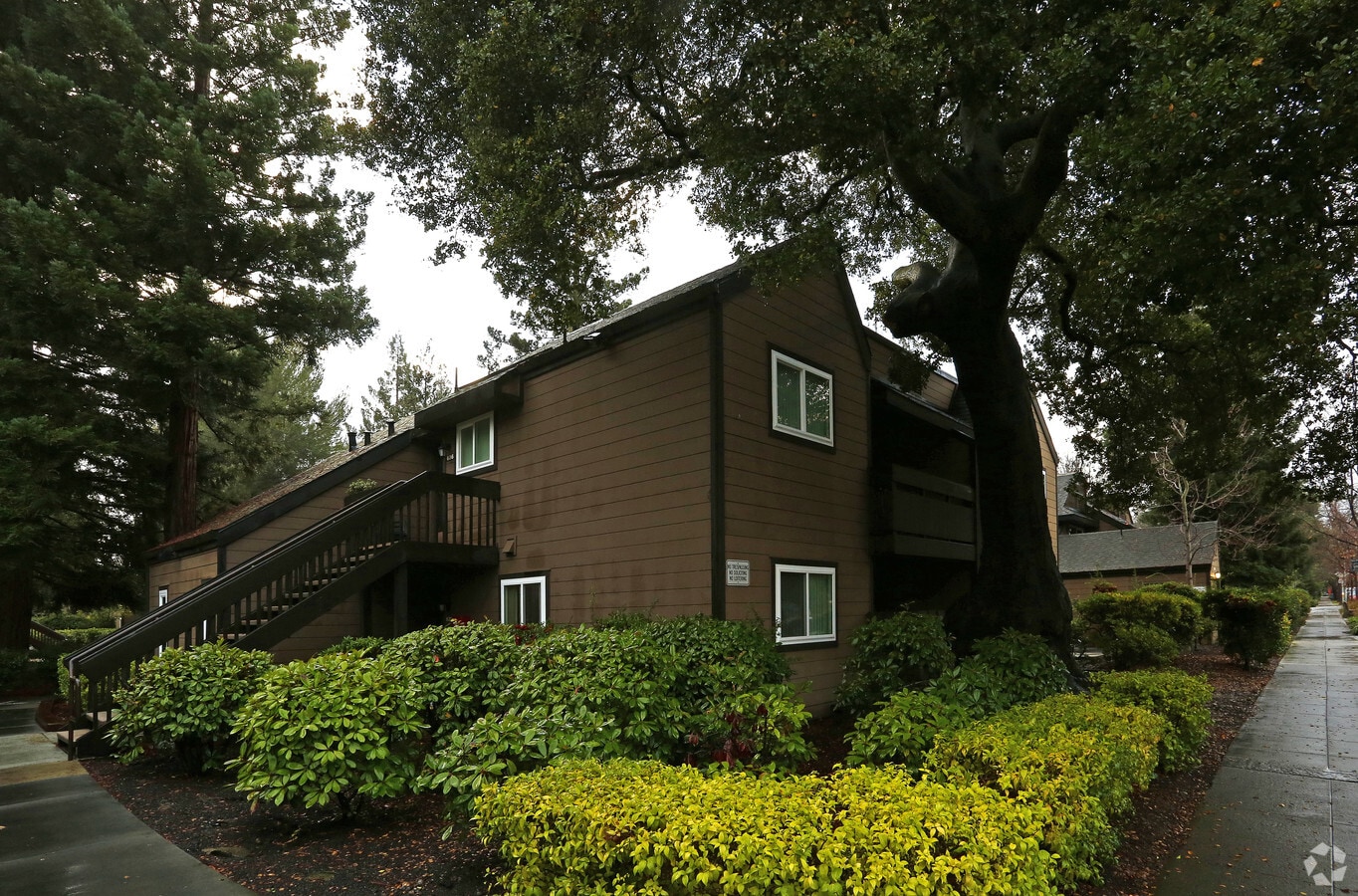 Photo - Webster Wood Apartments