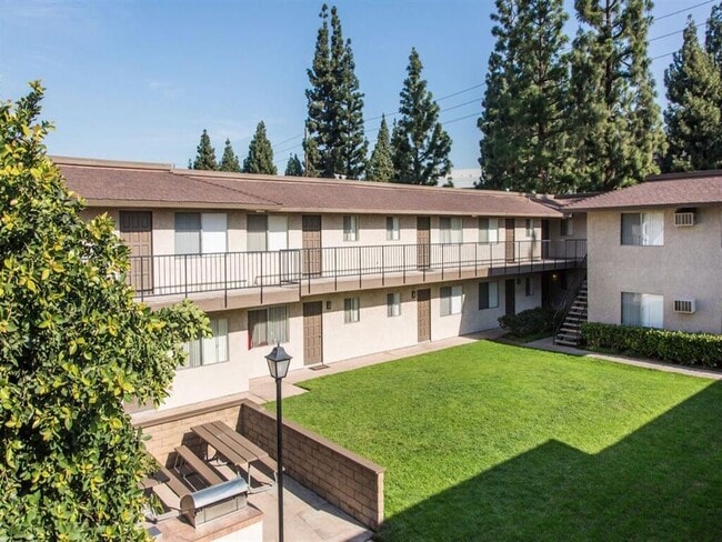 Photo - Orange Grove