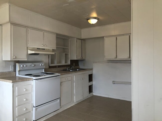 Photo - Swan Lake Cuttie...