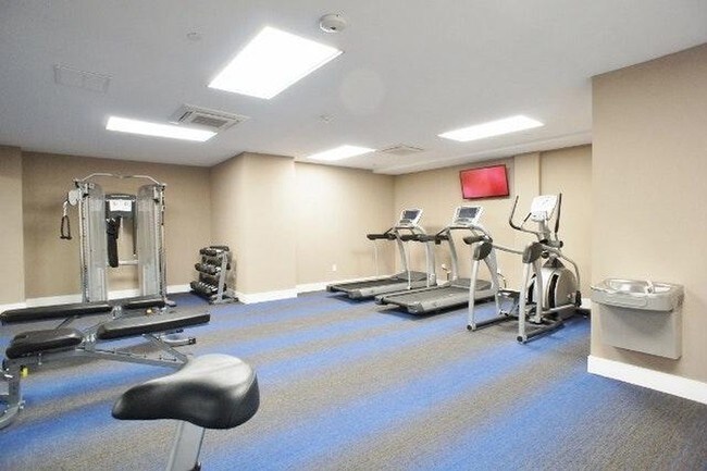 Photo - The Stonefield