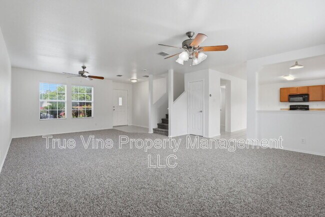 Photo - 136 Texas Mulberry