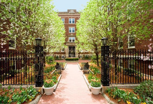 Building Photo - 1 bedroom in Cambridge MA 02138 Rental