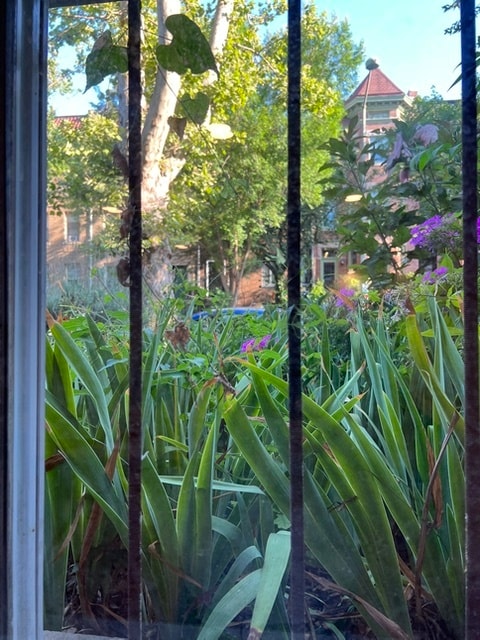 View outside to garden - 1735 1/2 T St NW Unit 1735 1/2 T Street