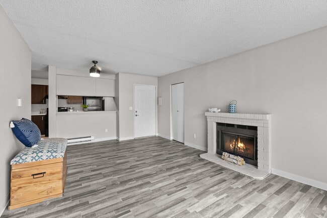 Photo - Constellation