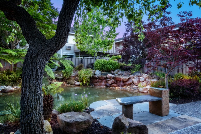 Tranquil Waterfalls