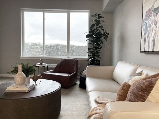 Photo - LIVEasy Street