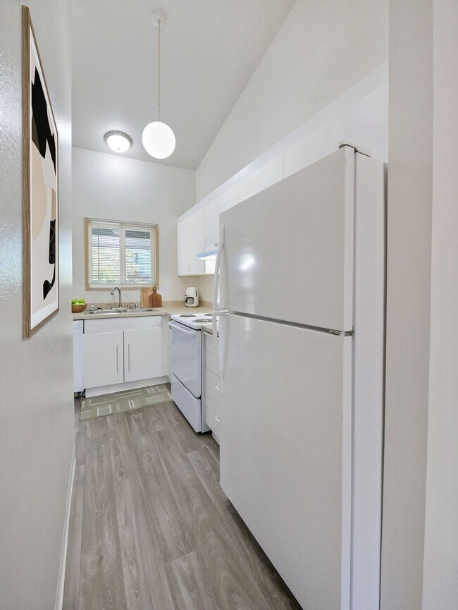 Photo - Madrona Park