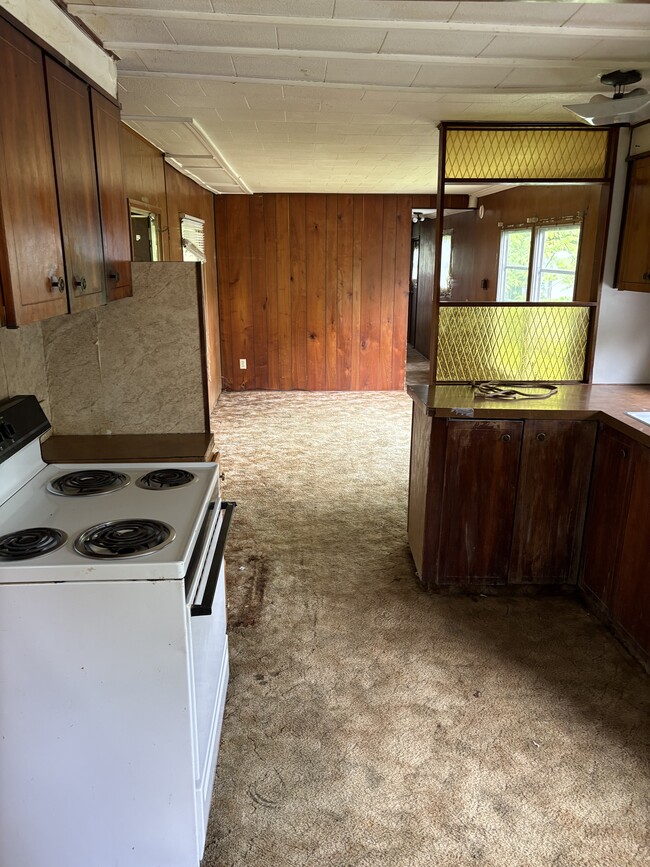 Photo - 13 Electric St