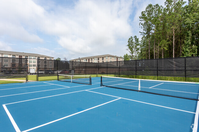 Cancha de pickleball - Comet West New Bern