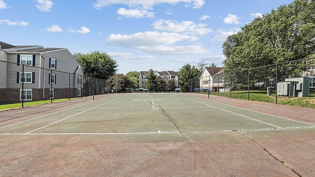 Photo - Cortland Manassas