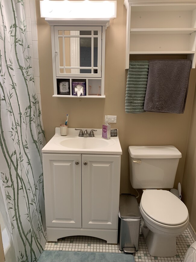 Bathroom - 2800 N Pine Grove Ave Unit 1i