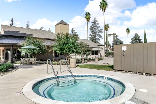 Photo - Venetian Bridges