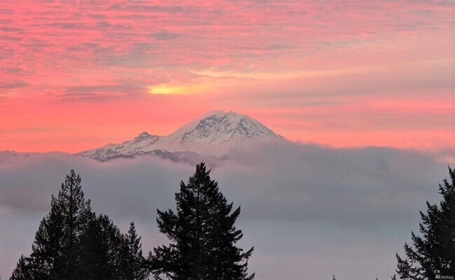 Photo - 11610 206th Pl SE