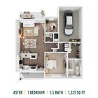 RBC_Aster_Updated