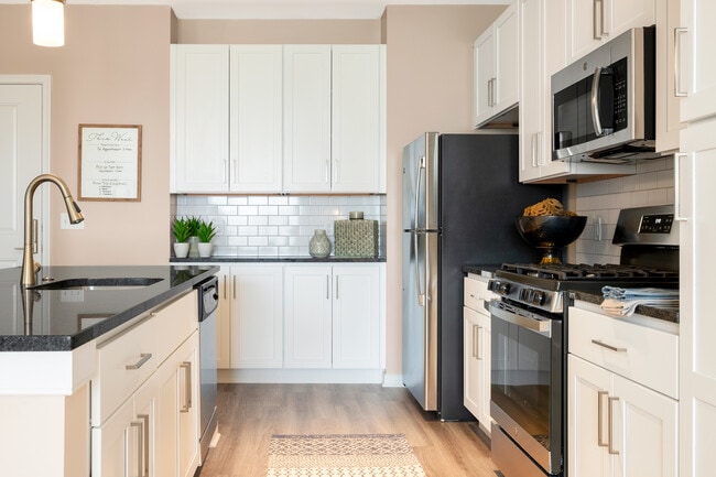 Designer Collection Kitchen