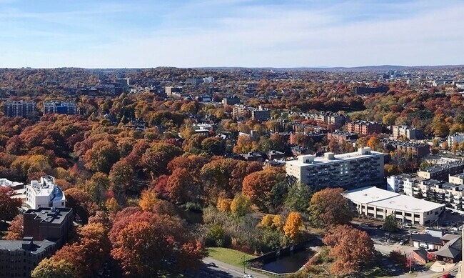 Photo - 188 Brookline Ave Unit 1