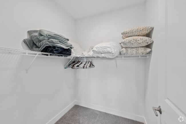 1BR, 1BA - 740SF - Closet