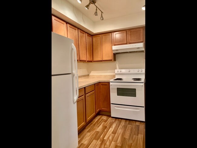 Peg Tree - Kitchen - Peg Tree Apartments