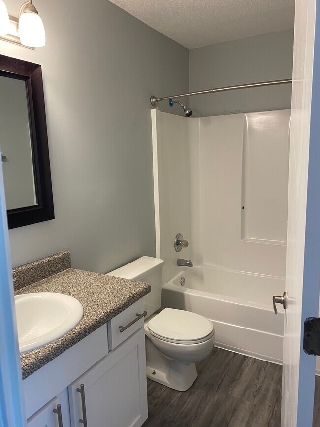 The Domain On Donahue Apartments Auburn, AL