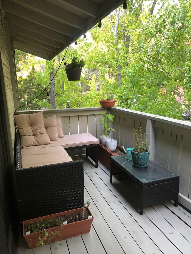 Balcony - Decor - 1493 Marchbanks Dr Unit #4