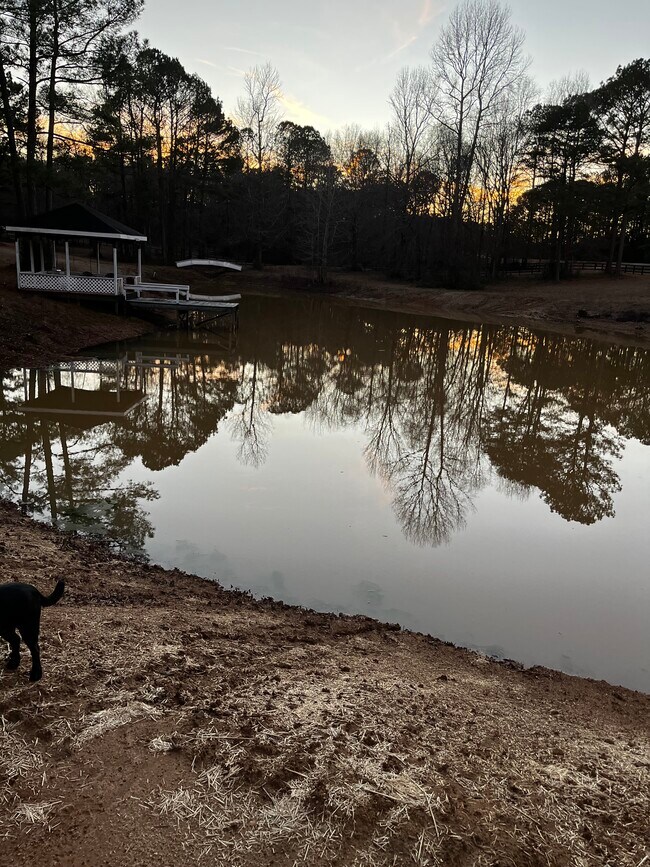 Photo - 9888 Whitehouse Pkwy