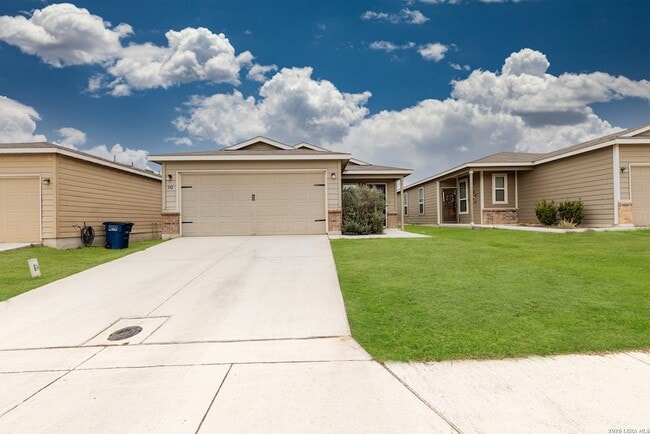 Photo - 342 Mistflower