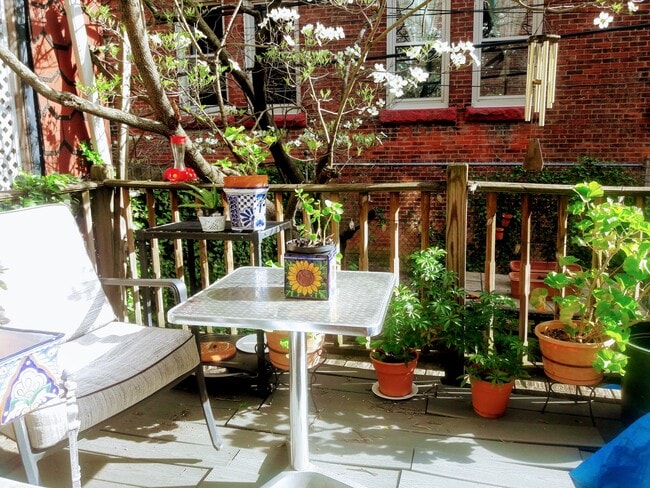 patio trasero - 4646 Hazel Ave