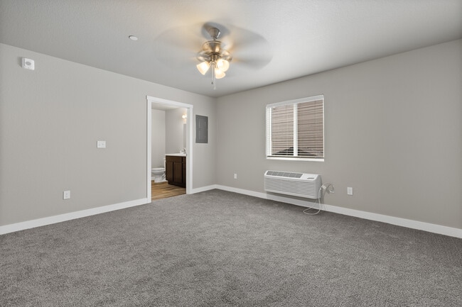 Photo - Enchanted Pines