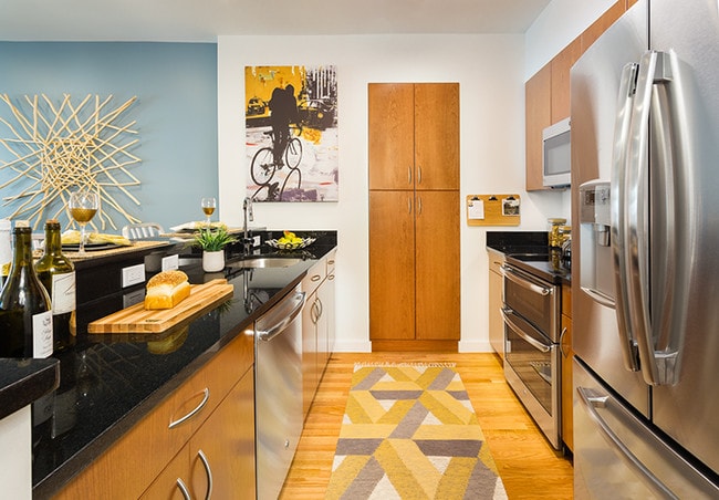 Kitchen - Fenway Diamond at 9 Miner Street