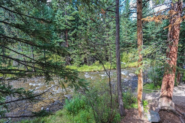 Photo - Walk to everything! Partially Furnished! Flexible lease terms!