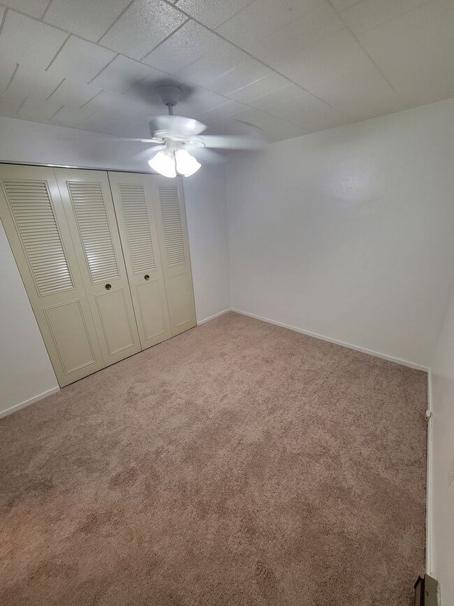 Carol Shamrock Apartments
