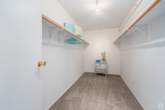 2BR, 1BA - 890SF - Primary Closet