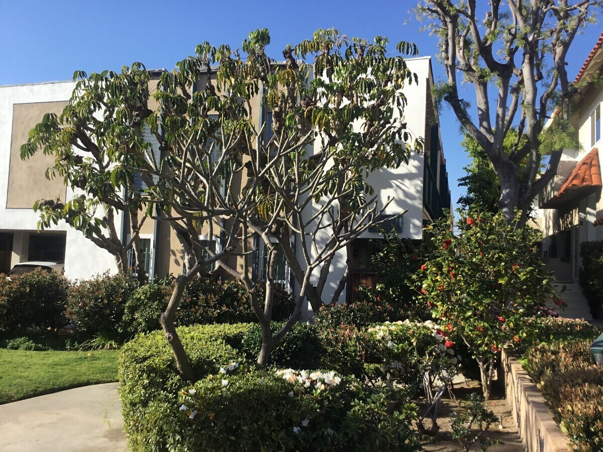 Photo - LARGE REMODELED UNITS WITH MANY AMMENITIES