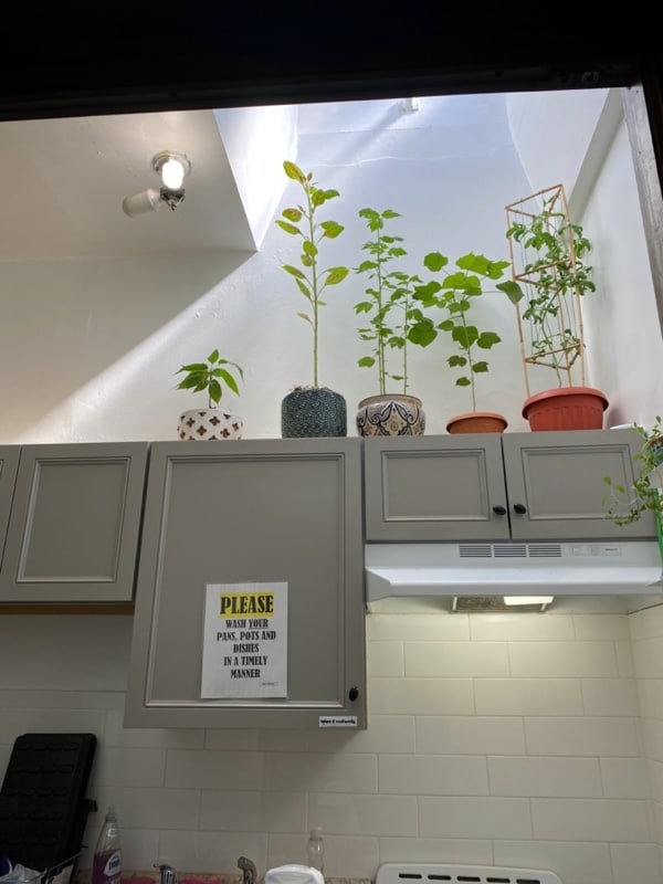 Photo - 423 W 147th St