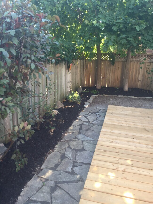 Back Patio - 223 London St