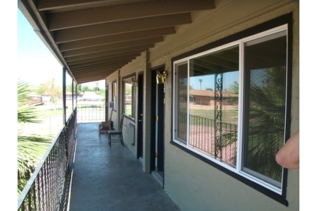 Photo - Silver Palms