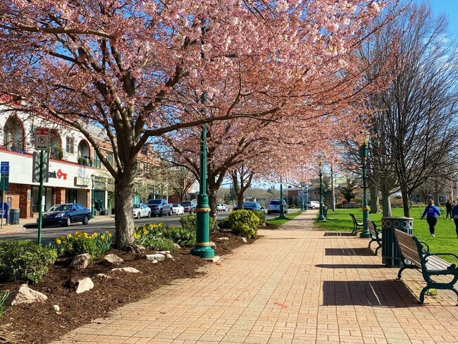 Photo - 75 S Main St Unit B