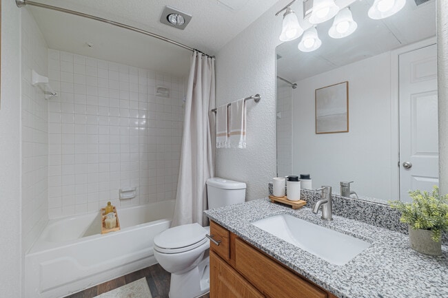 Photo - Sandshell at Fossil Creek