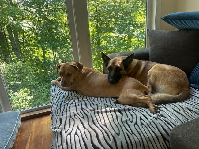 Photo - 172 Ponus Ave