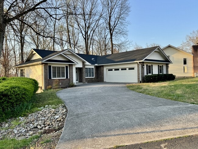 Photo - 207 Cheeskogili Ln