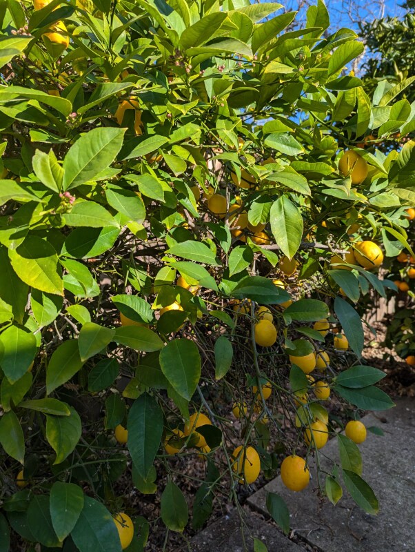 Photo - 3985 Royal Arch Dr