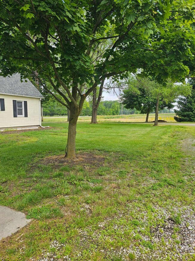 Photo - Country Living