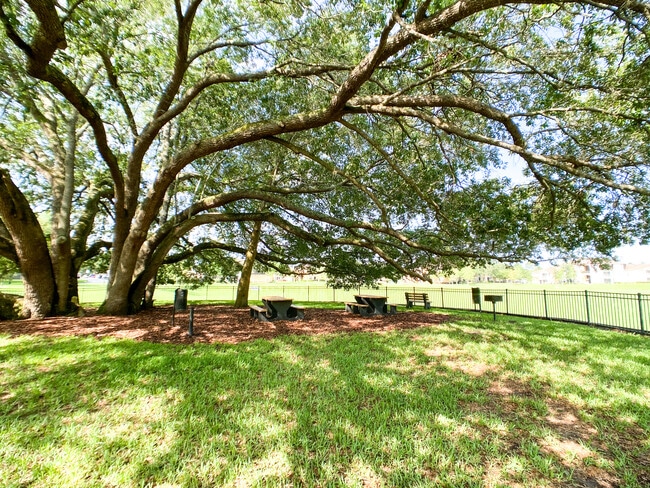 Oakleaf Village Apartments