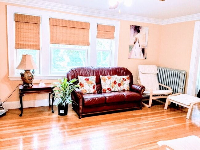 Living Room - 340 Common St Unit 2
