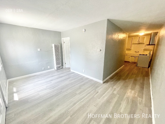 441 W Santa Cruz St Unit C