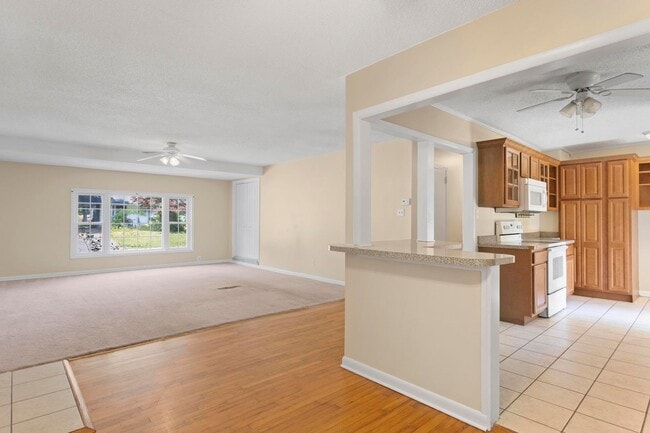 Photo - Northwoods Cutie!