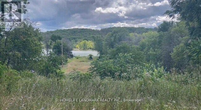 Photo - 1355 County Rd 45